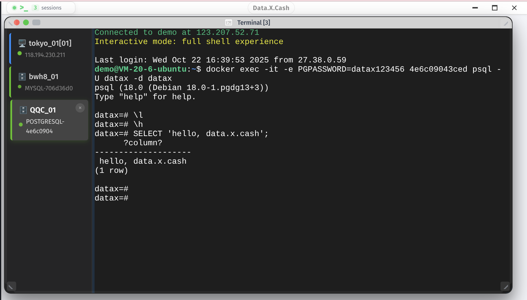 PostgreSQL CLI